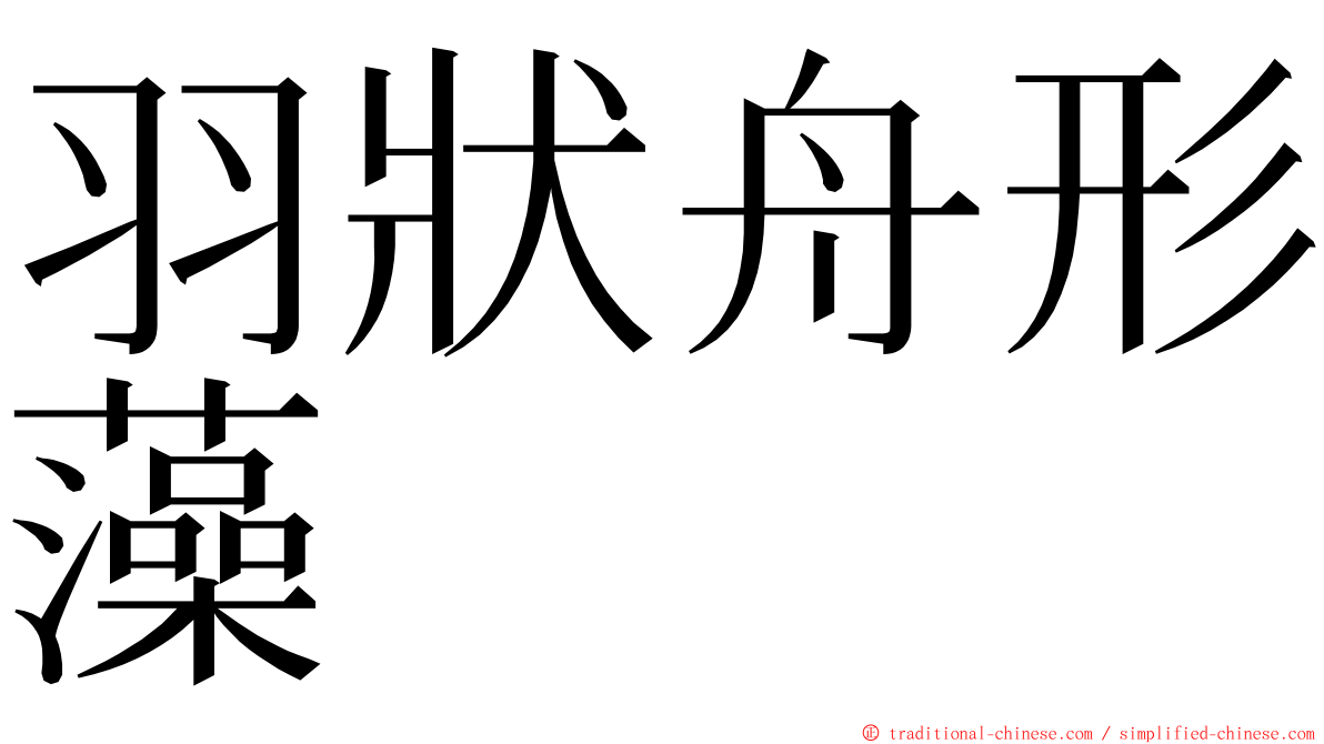 羽狀舟形藻 ming font