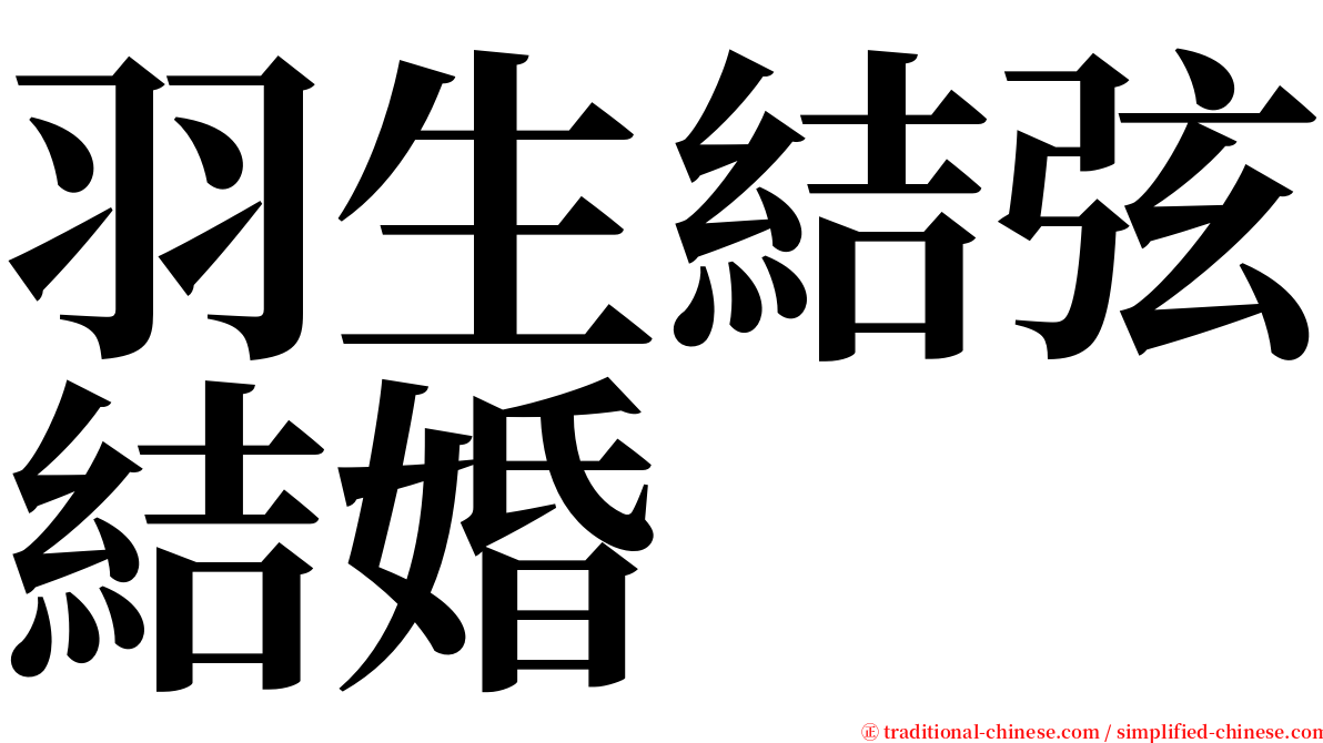 羽生結弦結婚 serif font