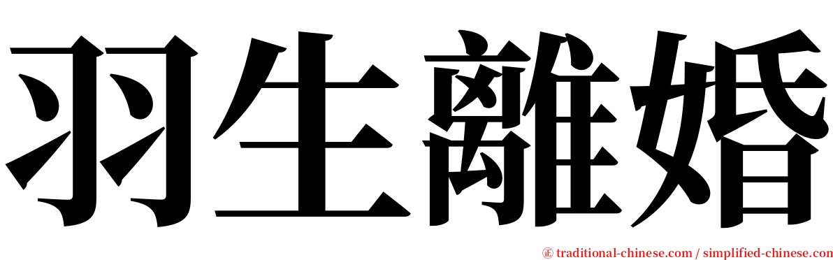 羽生離婚 serif font