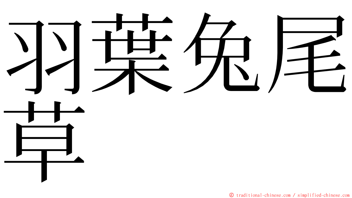 羽葉兔尾草 ming font