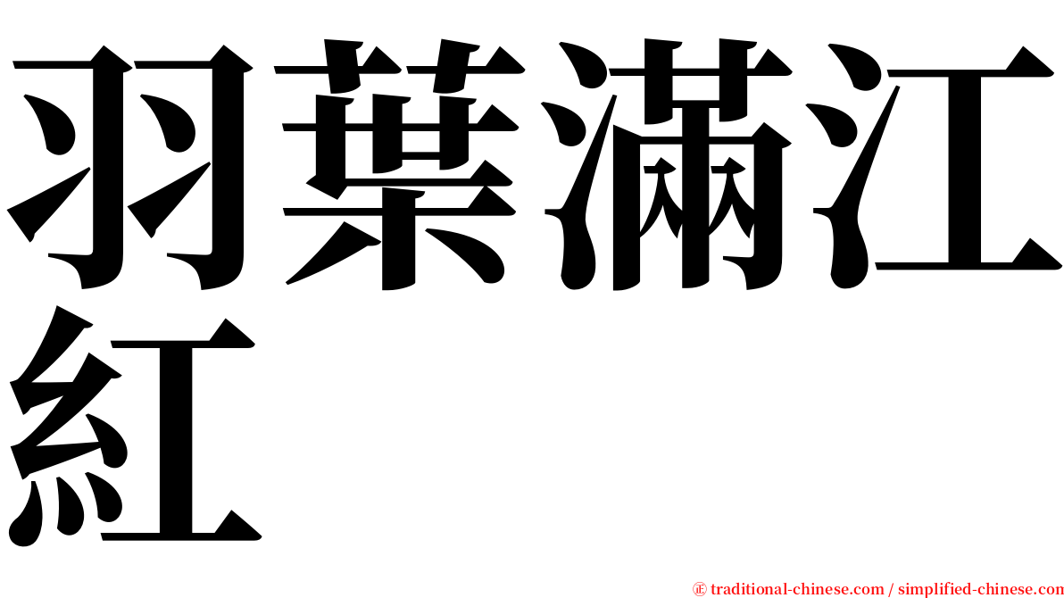 羽葉滿江紅 serif font