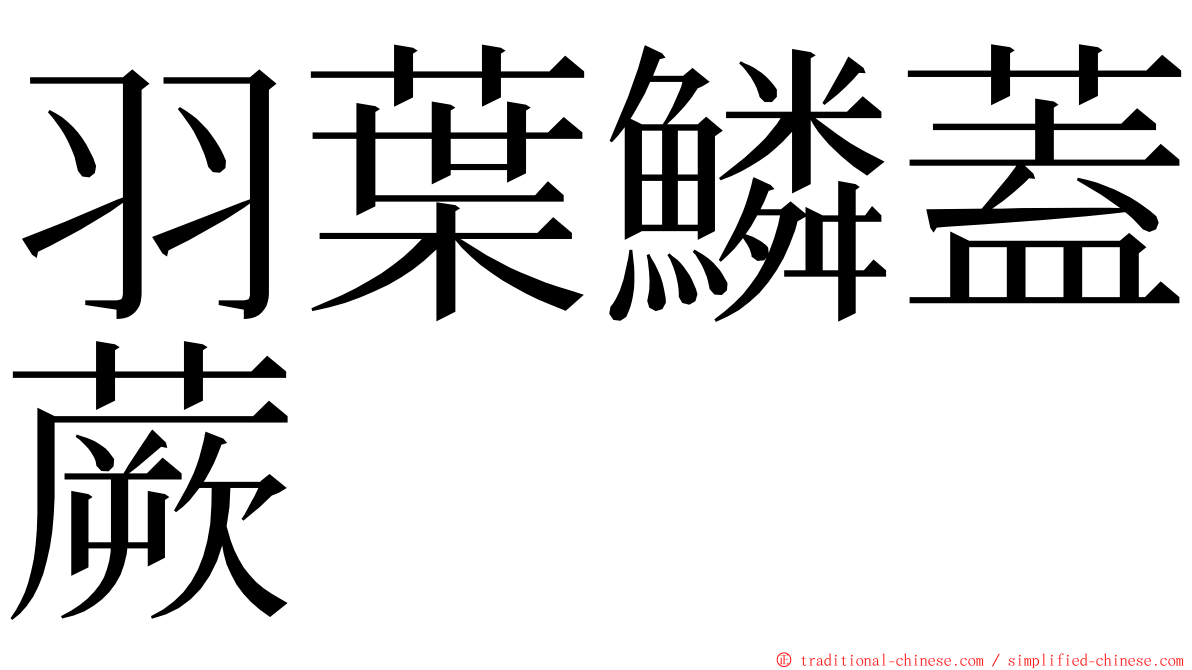 羽葉鱗蓋蕨 ming font