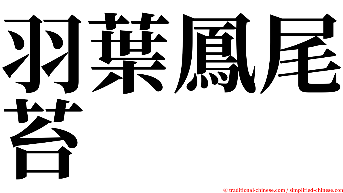 羽葉鳳尾苔 serif font