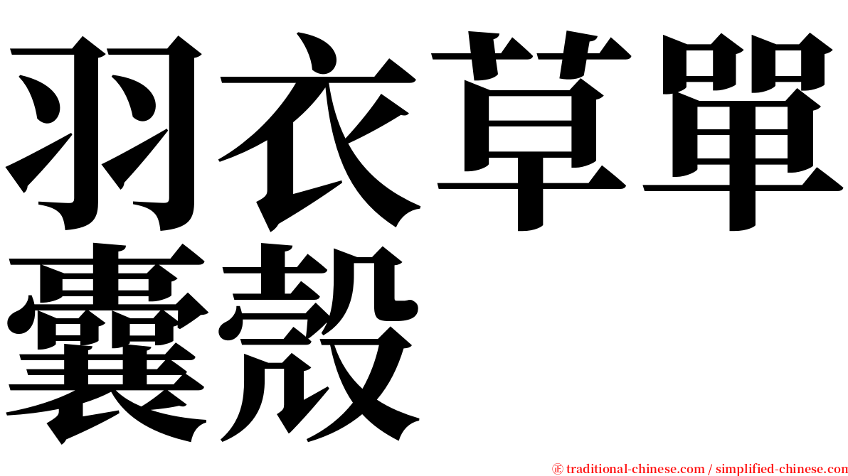 羽衣草單囊殼 serif font