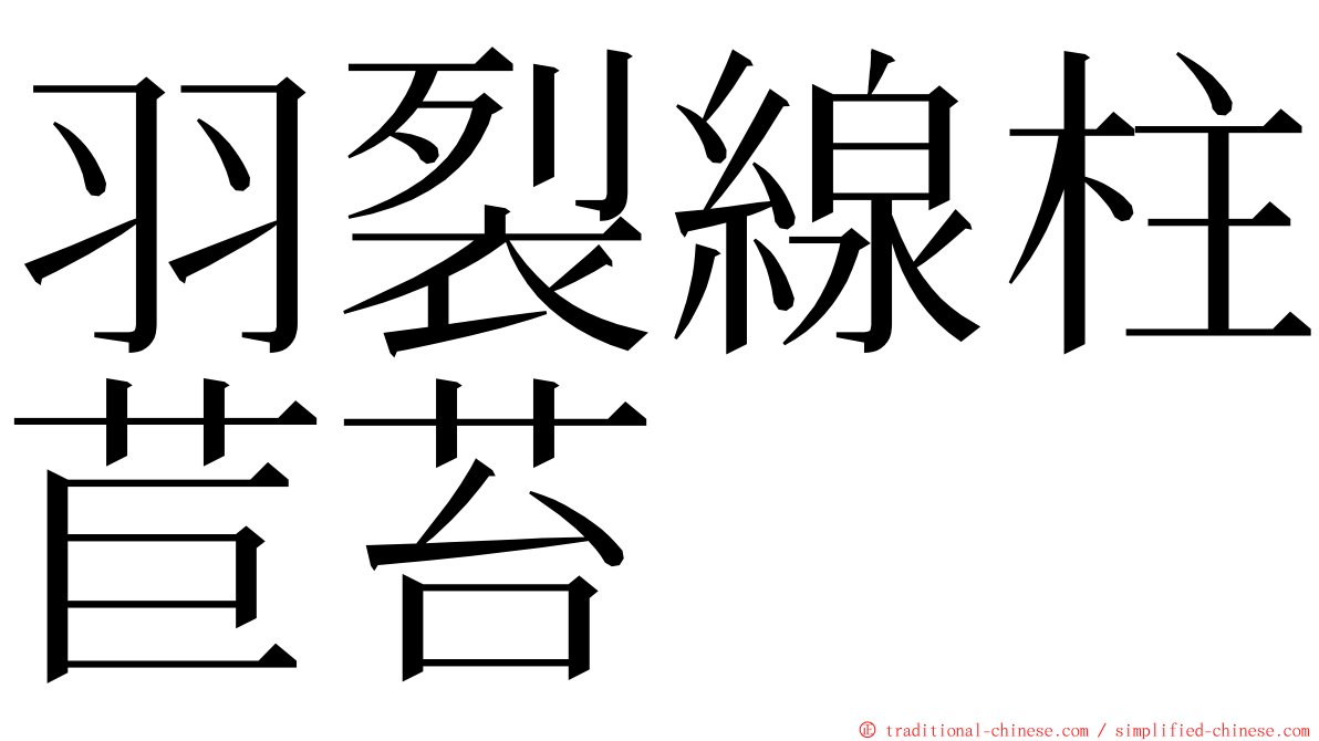 羽裂線柱苣苔 ming font