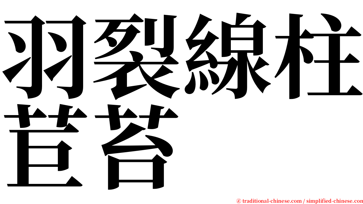 羽裂線柱苣苔 serif font