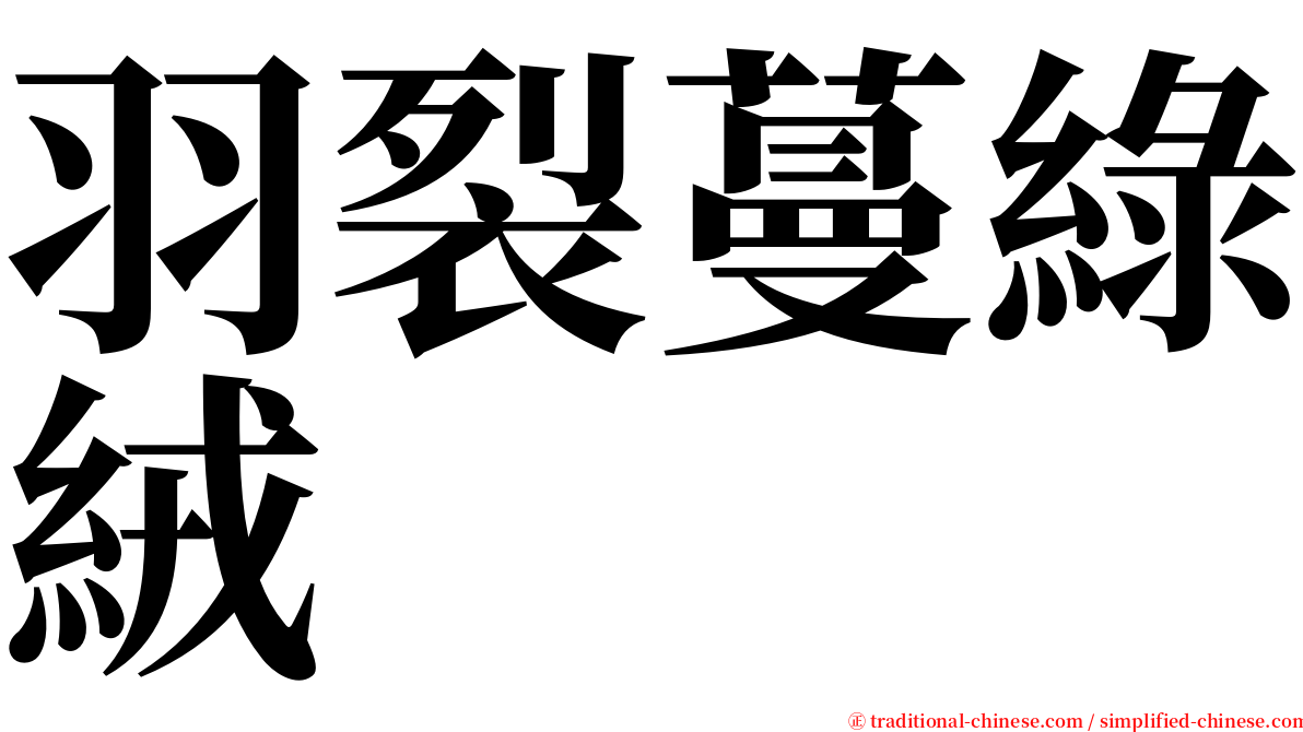 羽裂蔓綠絨 serif font