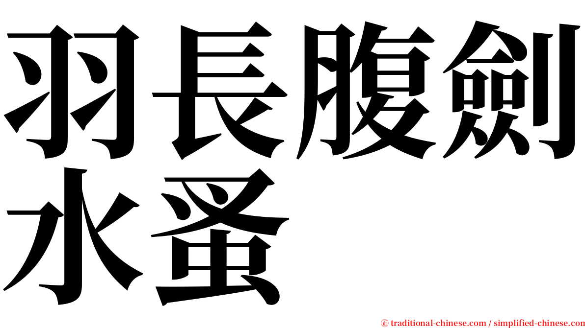 羽長腹劍水蚤 serif font