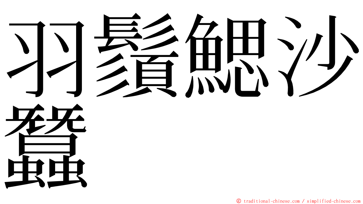 羽鬚鰓沙蠶 ming font