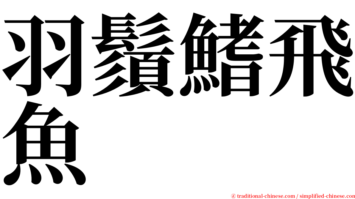 羽鬚鰭飛魚 serif font