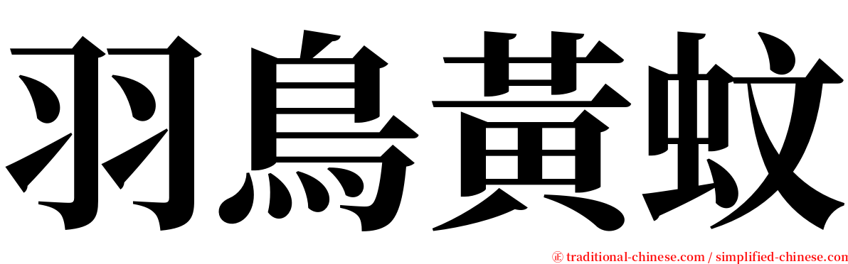 羽鳥黃蚊 serif font