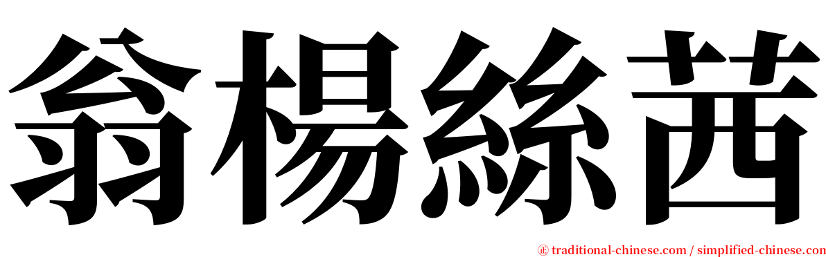 翁楊絲茜 serif font