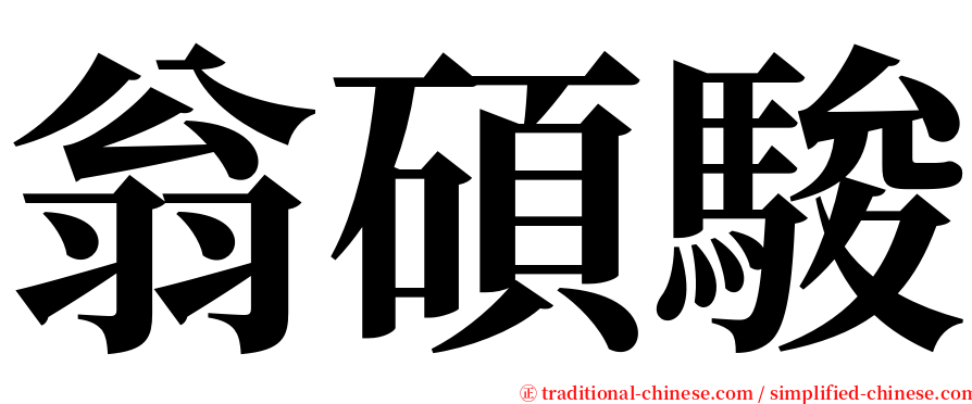 翁碩駿 serif font