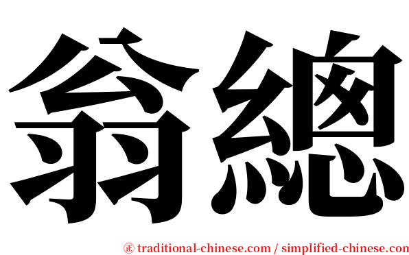 翁總 serif font