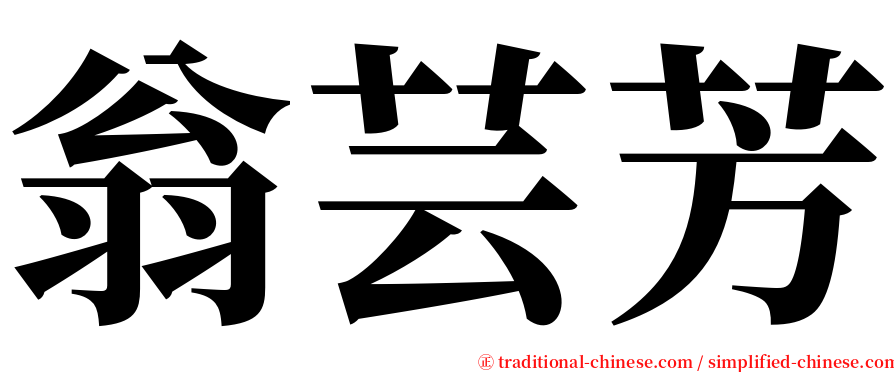 翁芸芳 serif font