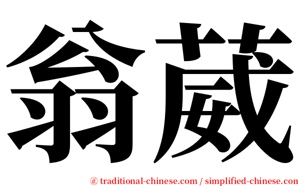 翁葳 serif font