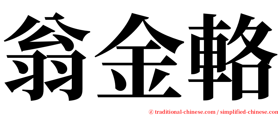 翁金輅 serif font