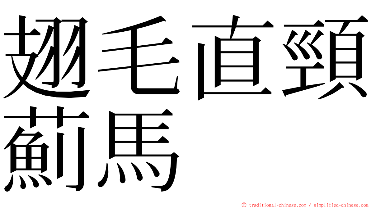 翅毛直頸薊馬 ming font