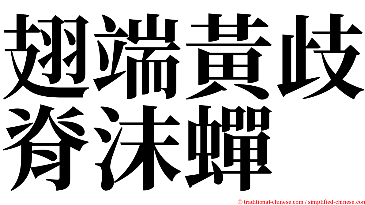 翅端黃歧脊沫蟬 serif font