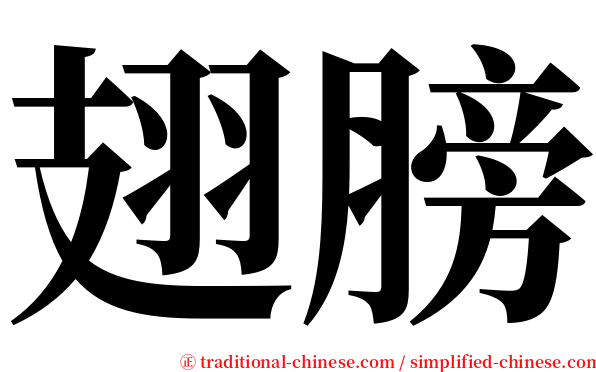 翅膀 serif font