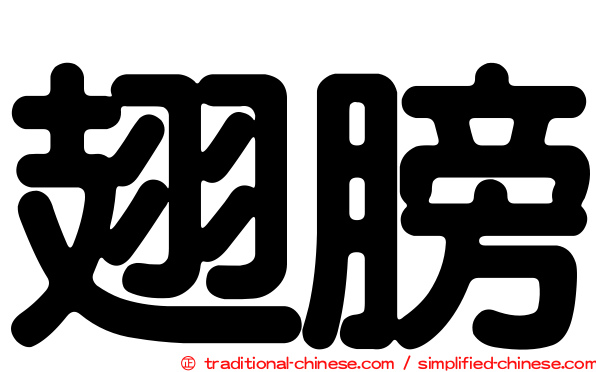 翅膀