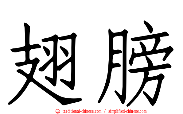 翅膀