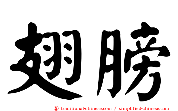 翅膀