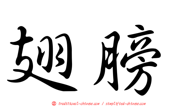翅膀