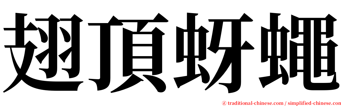 翅頂蚜蠅 serif font