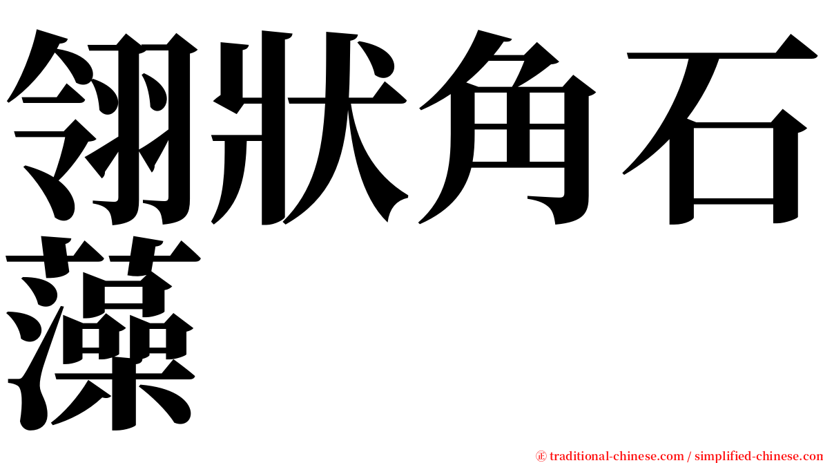 翎狀角石藻 serif font