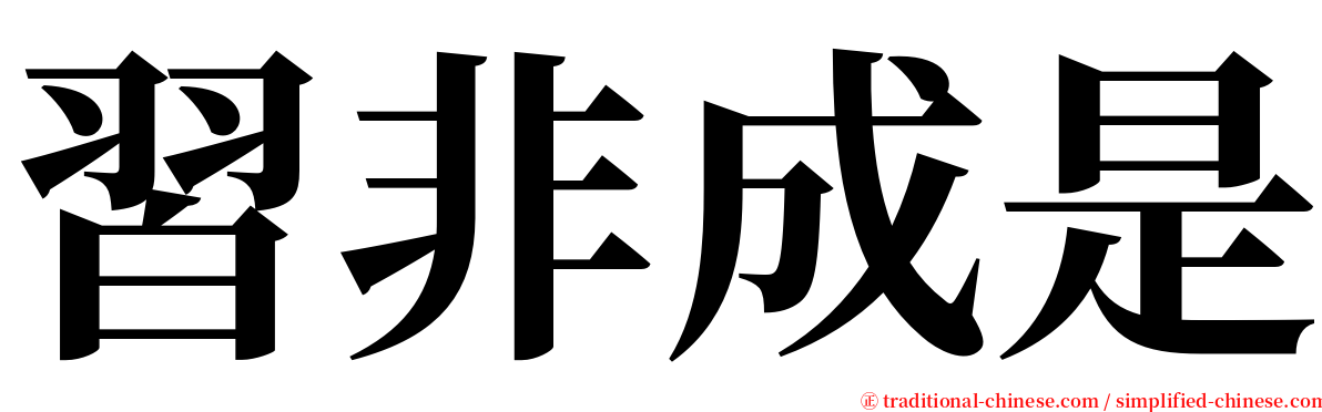 習非成是 serif font