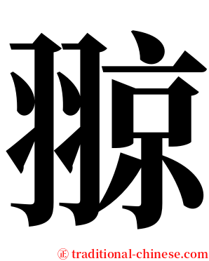 翞 serif font