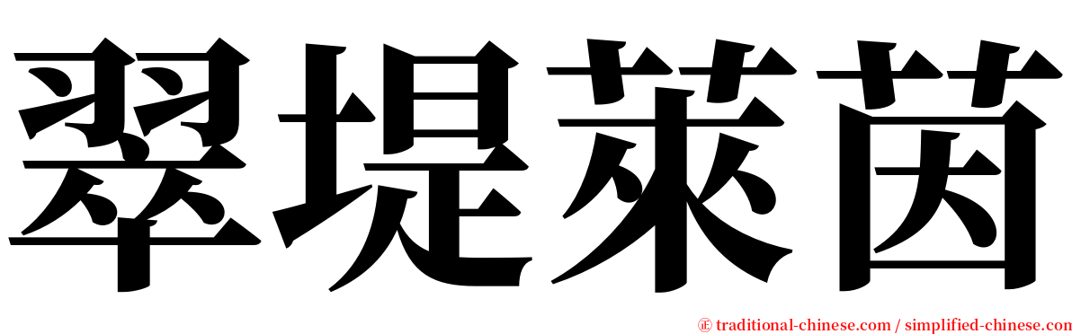 翠堤萊茵 serif font