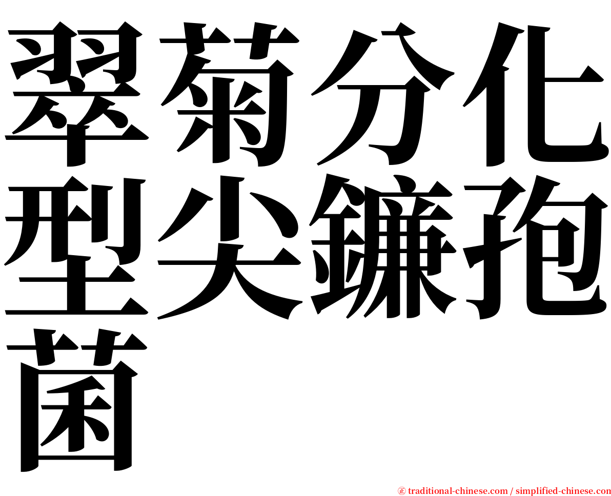 翠菊分化型尖鐮孢菌 serif font