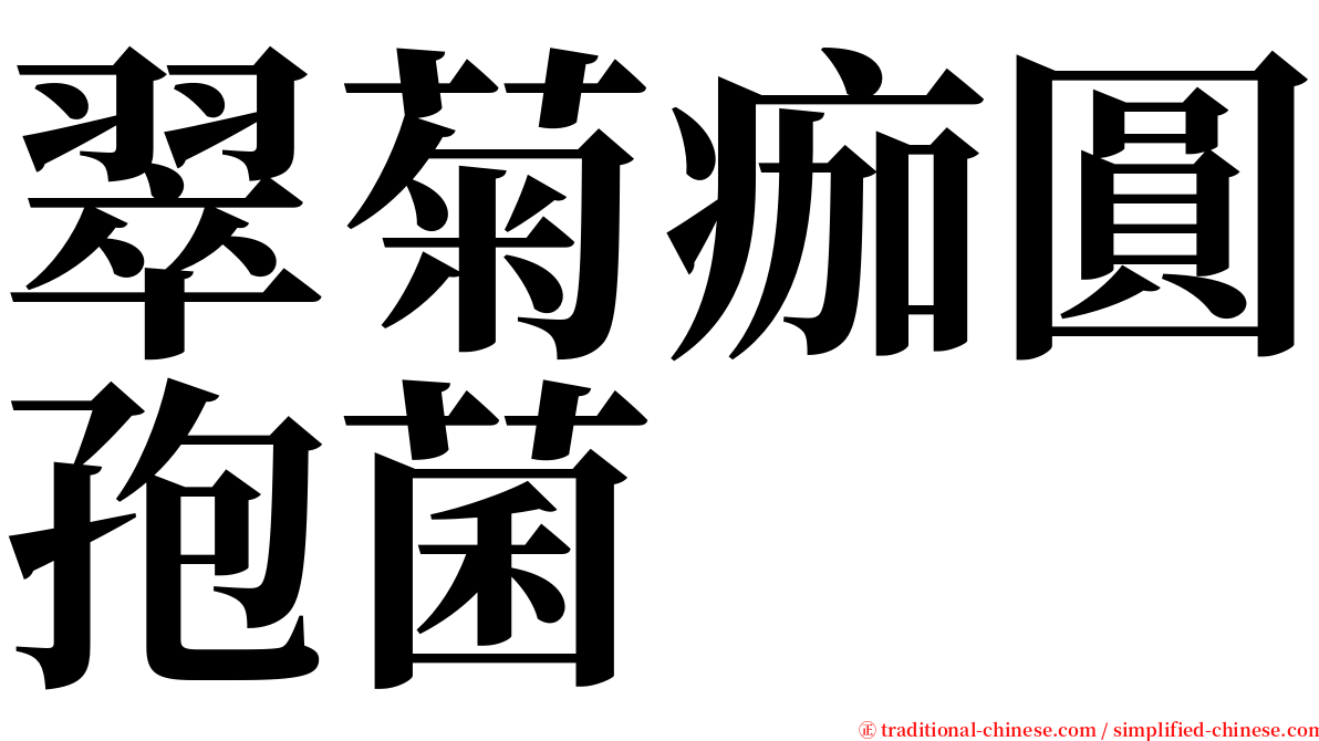 翠菊痂圓孢菌 serif font