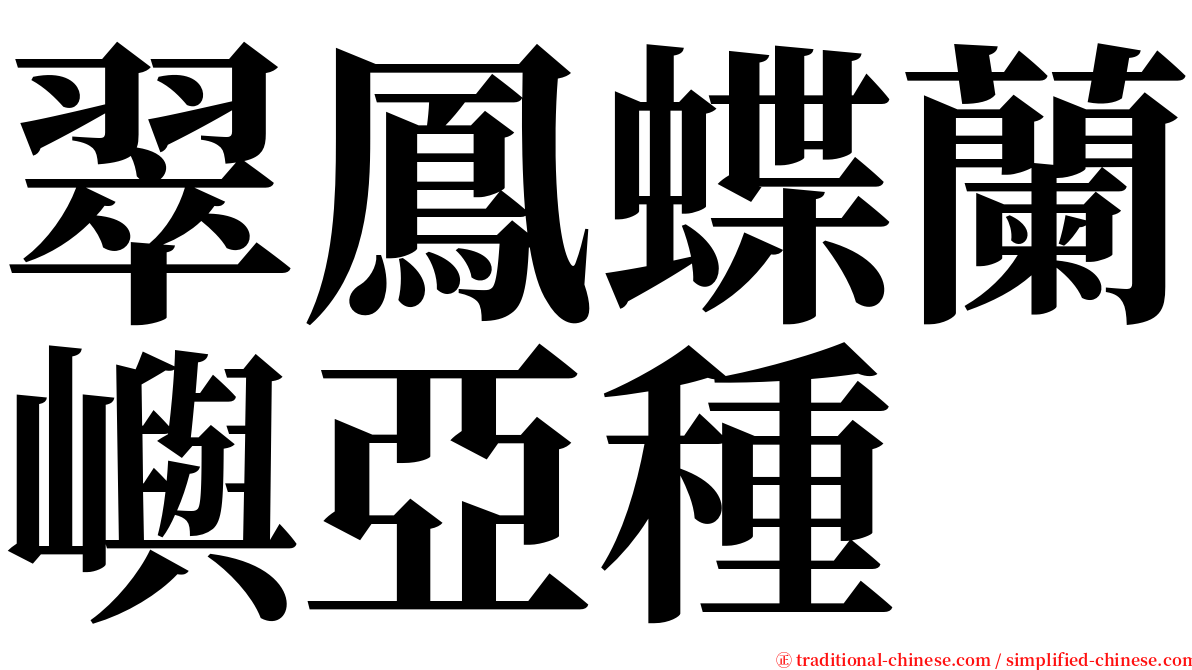 翠鳳蝶蘭嶼亞種 serif font