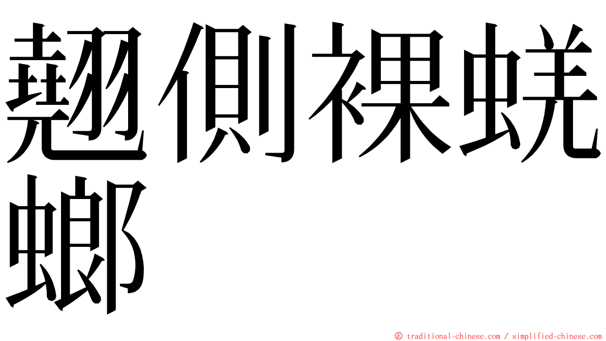 翹側裸蜣螂 ming font