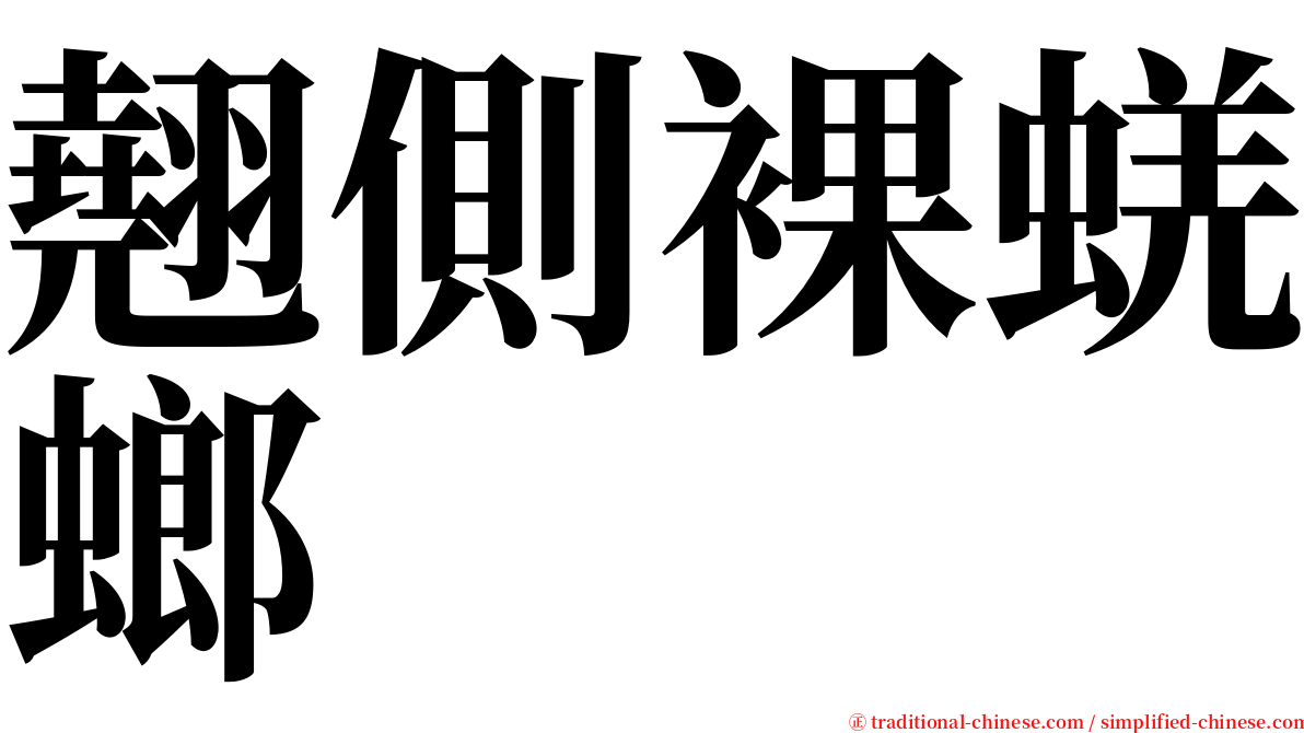 翹側裸蜣螂 serif font