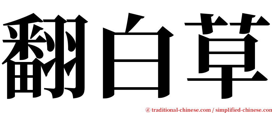 翻白草 serif font