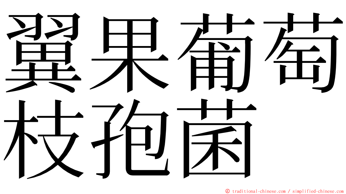 翼果葡萄枝孢菌 ming font