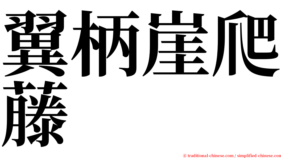 翼柄崖爬藤 serif font