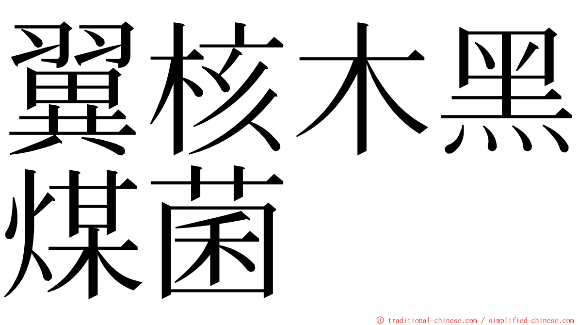 翼核木黑煤菌 ming font