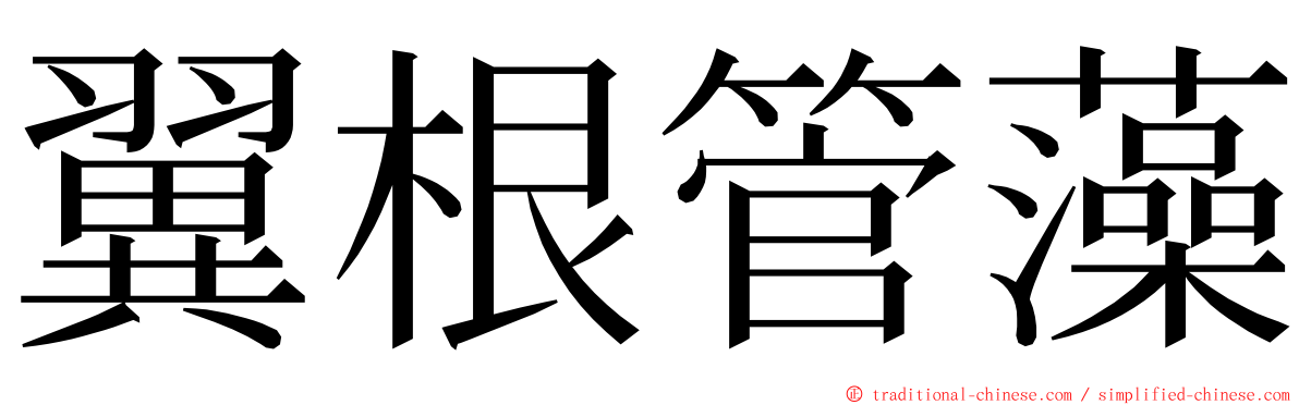 翼根管藻 ming font