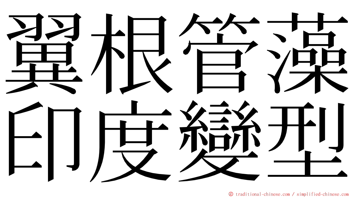 翼根管藻印度變型 ming font