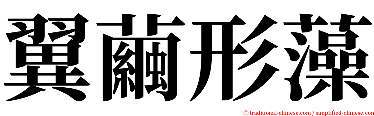 翼繭形藻 serif font