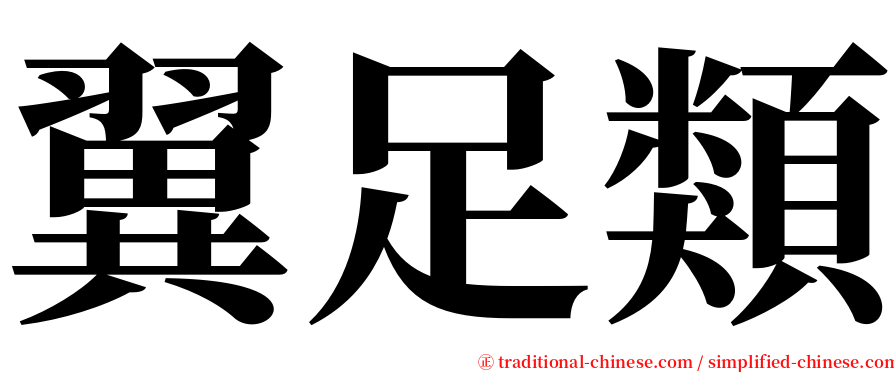 翼足類 serif font