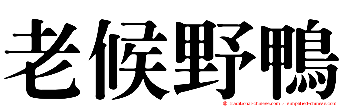 老候野鴨