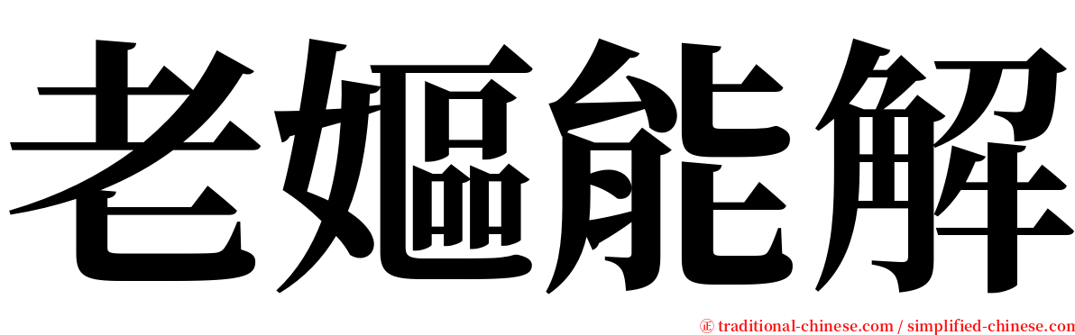 老嫗能解 serif font