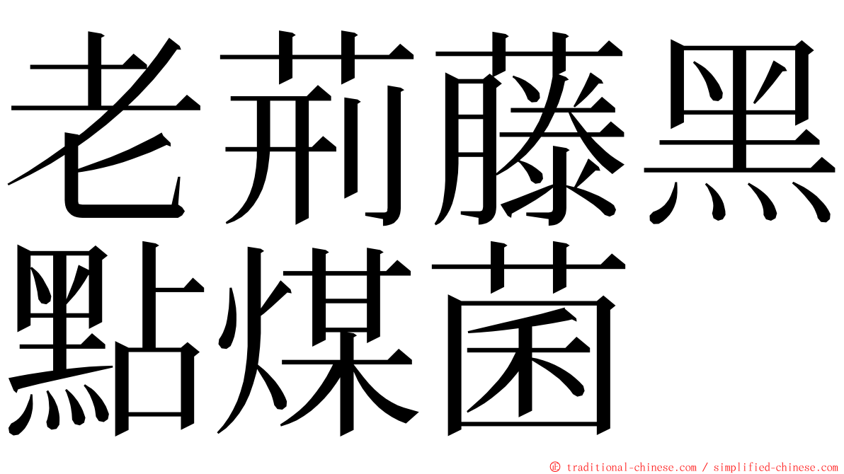 老荊藤黑點煤菌 ming font