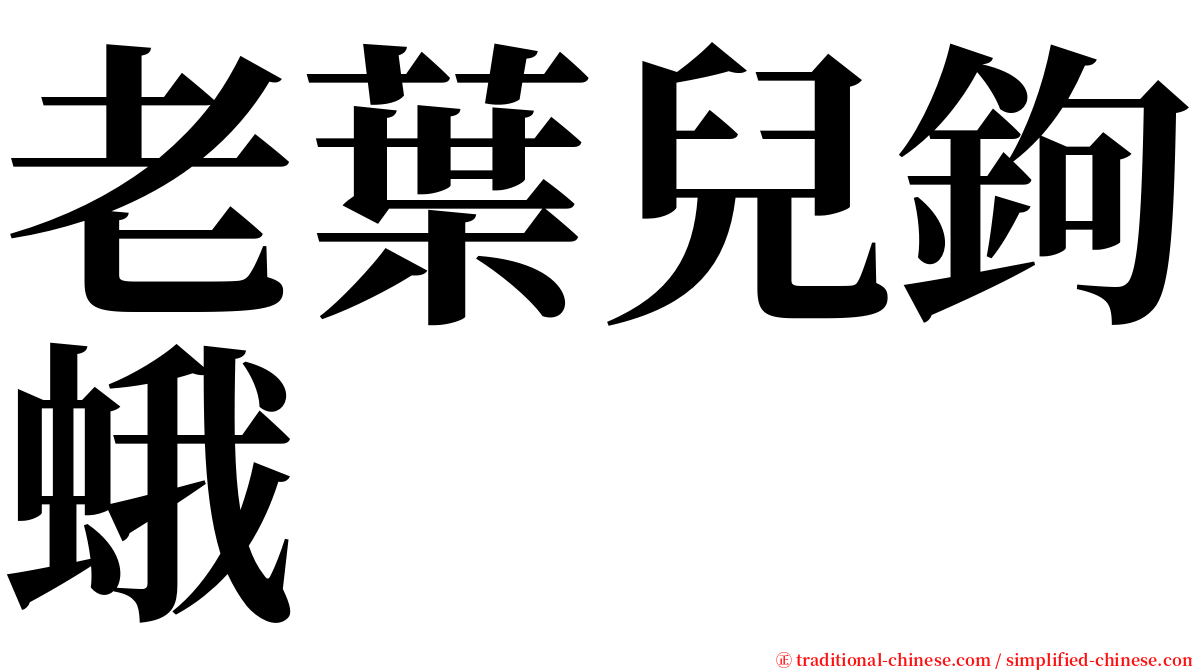 老葉兒鉤蛾 serif font